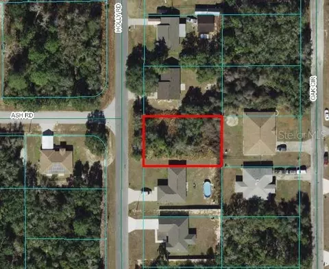 25 Holly Rd, Ocala, FL 34472 photo 1