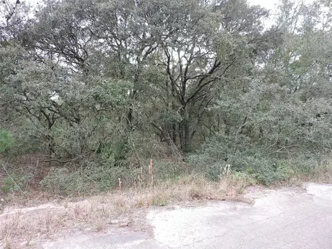 Tbd Fisher Court Way, Ocklawaha, FL 32179