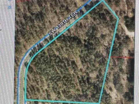 00 SE 139th Lot 22 Ter, Morriston, FL 32668