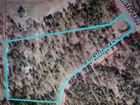 00 SE 139th Lot 29 Ter, Morriston, FL 32668