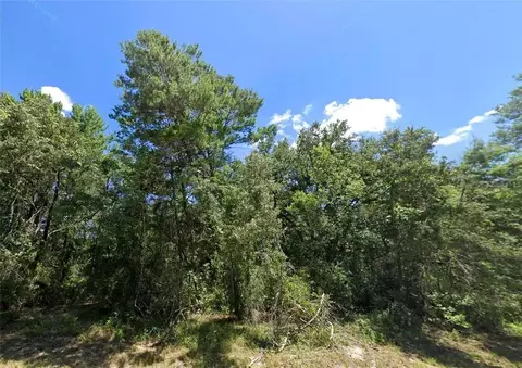 SW 129th Avenue, Ocala, FL 34473