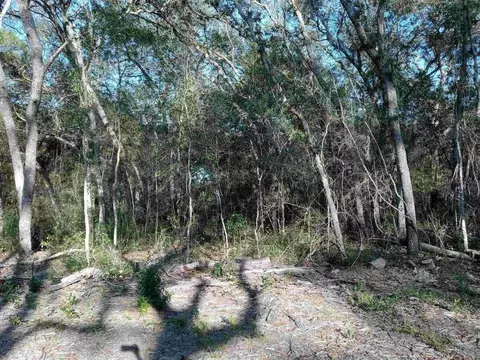 0000 SE 170th Ct, Ocklawaha, FL 32179