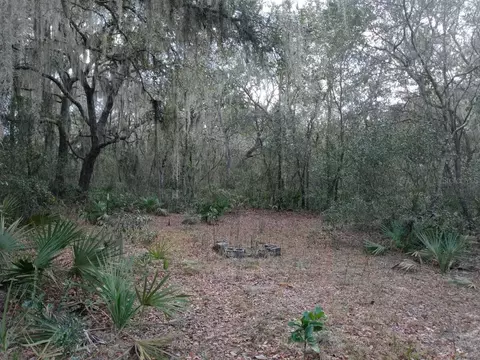 00000 NE 213 Pl, Fort Mc Coy, FL 32134