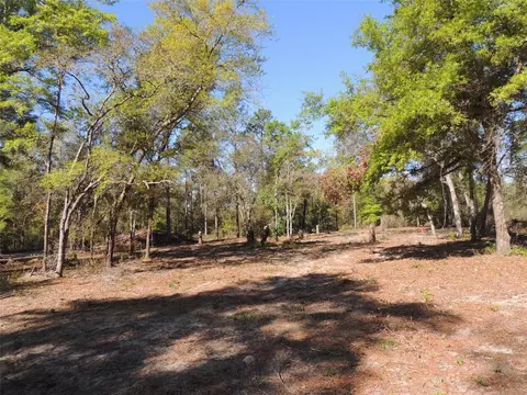 10251 NE 85th St, Bronson, FL 32621