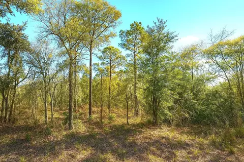 00 NE 122nd Ave, Williston, FL 32696