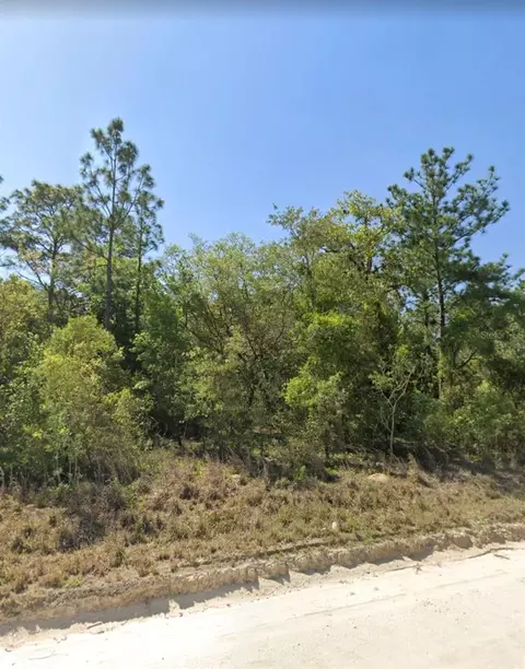 Tbd NE 130th Avenue, Williston, FL 32696
