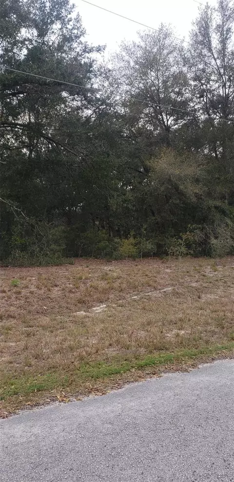 00 SE 102 Ct, Belleview, FL 34420