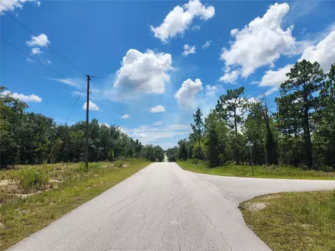 00 SW Viburnum Rd, Dunnellon, FL 34434