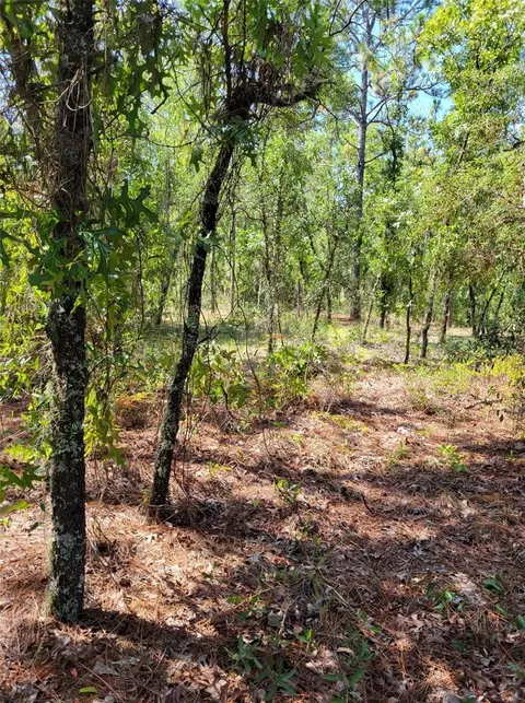 0 SW 93rd St, Dunnellon, FL 34432