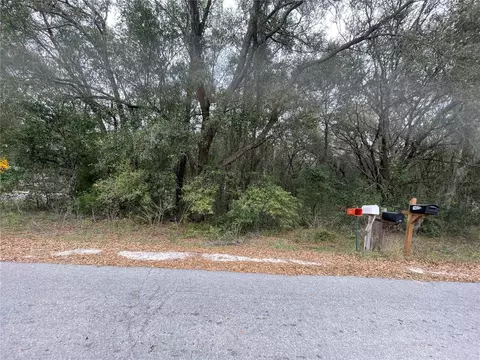 0 SE 92 Ave, Summerfield, FL 34491