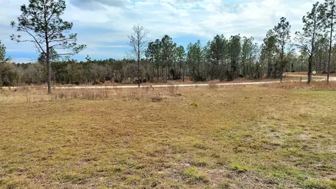 Tbd Ne 4th St, Williston, FL 32696