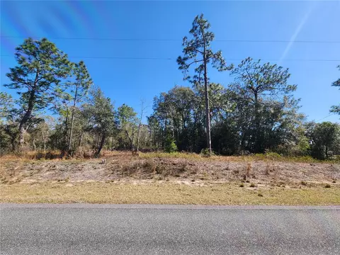 Tbd SW Ivy Place, Dunnellon, FL 34431