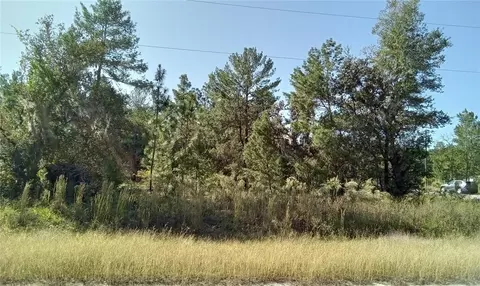 Fisher Run, Ocklawaha, FL 32179