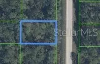 7015 Burkett Ave, Sebring, FL 33875
