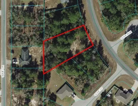 22 Olive Rd, Ocala, FL 34472 photo 1