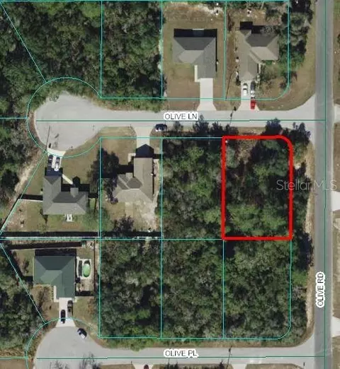 56 Olive Rd, Ocala, FL 34472 photo 1