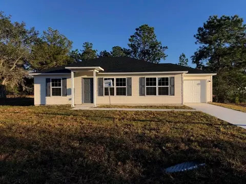 91 Guava Pass Dr, Ocklawaha, FL 32179