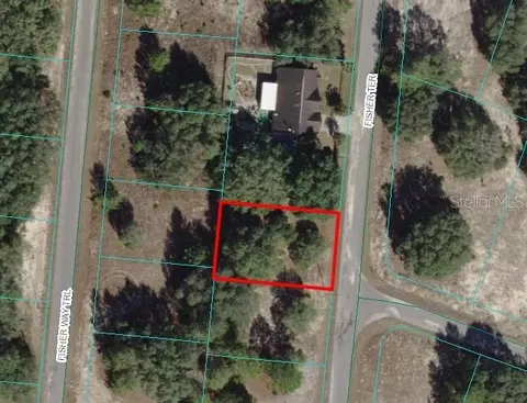Fisher Terr, Ocklawaha, FL 32179