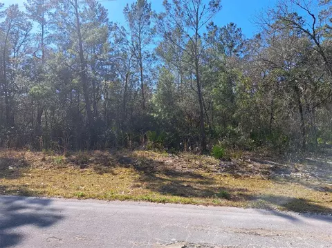 SE Malauka Pass Crse, Ocklawaha, FL 32179