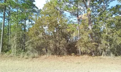 Manor Road, Weeki Wachee, FL 34614