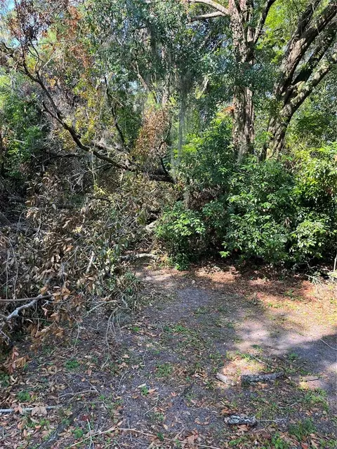 0 SE 140th Ln, Belleview, FL 34421