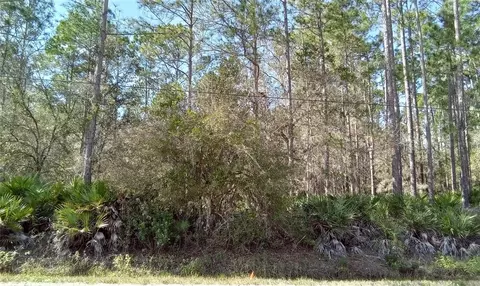 1062 Hickory St, Bunnell, FL 32110