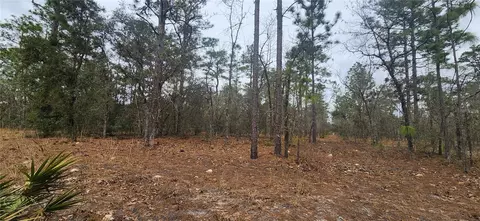 000 SW 92 Pl, Dunnellon, FL 34432