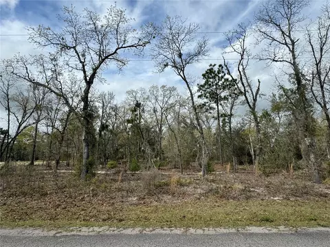 7 Guava Terrace Radl, Ocklawaha, FL 32179