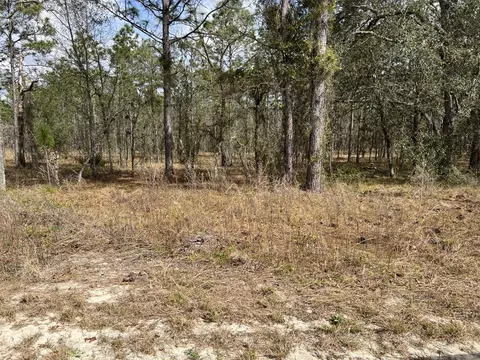 Sw Little Cliffs Dr, Dunnellon, FL 34431