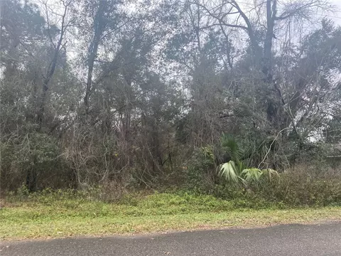 0 Guava Trak, Ocklawaha, FL 32179