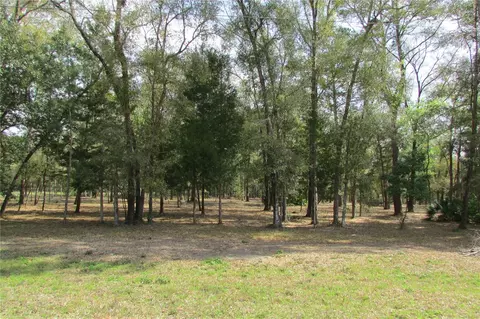 Lot 8 NE 160th Avenue, Williston, FL 32696