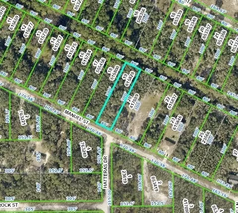 34399 Manuel St, Webster, FL 33597