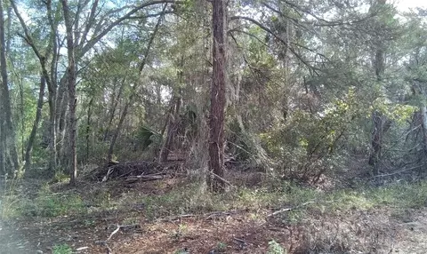 Fisher Trail Terrace, Ocklawaha, FL 32179