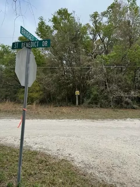 St Benedict Drive, Dunnellon, FL 34431