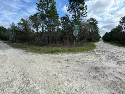 Tbd SW 98 Street, Dunnellon, FL 34432