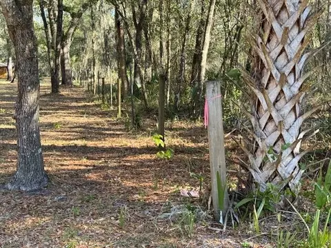 Tbd NE 199 Street Road, Citra, FL 32113