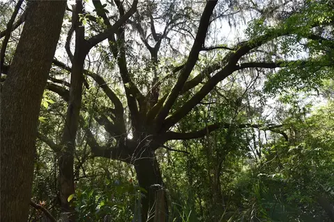 Nw 155th St, Reddick, FL 32686