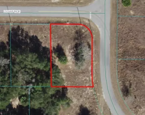 Locust Trace, Ocala, FL 34472