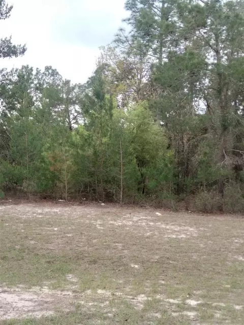 0 SW 135th Street Rd, Ocala, FL 34473