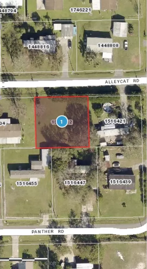 tbd Alleycat Rd, Astor, FL 32102