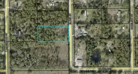 2376 Elder St, Bunnell, FL 32110