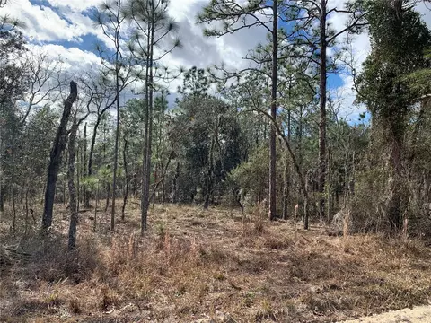 Tbd SE 2nd Street, Williston, FL 32696