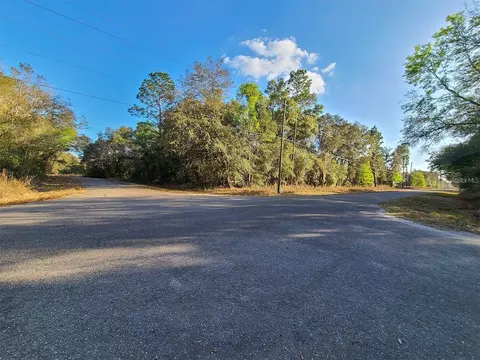 00 SE Guava Lane Trak, Ocklawaha, FL 32179