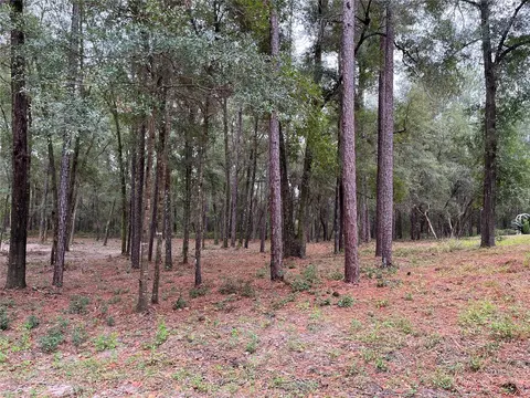 Tbd SW 188th Circle, Dunnellon, FL 34432