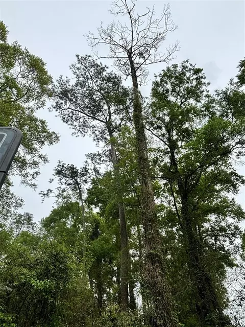 Teak Lane, Ocala, FL 34472