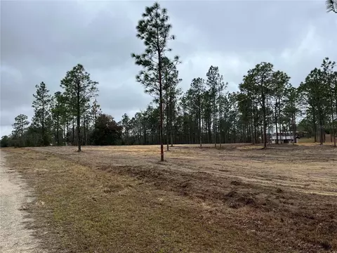 131 SE Se, Morriston, FL 32668