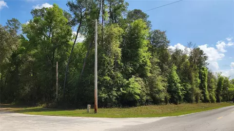 NE 110 Avenue, Fort Mc Coy, FL 32134