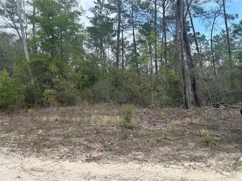 2912 Collins St, Inverness, FL 34452