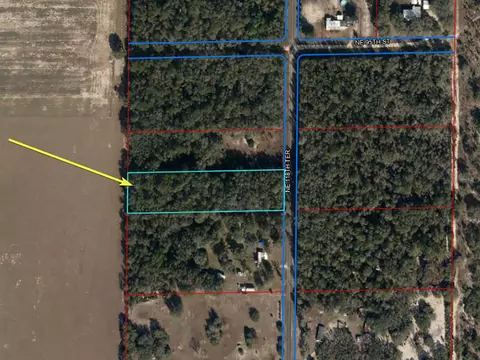 9450 NE 118th Ter, Bronson, FL 32621