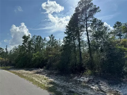 32 Fisher Trail Pass, Ocklawaha, FL 32179